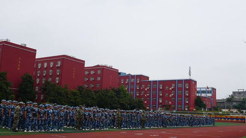 炙晒烈日磨意志 飒爽英姿展风采 潢川县行知高中2024级高一新生军训汇演