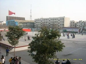 金乡县实验中学