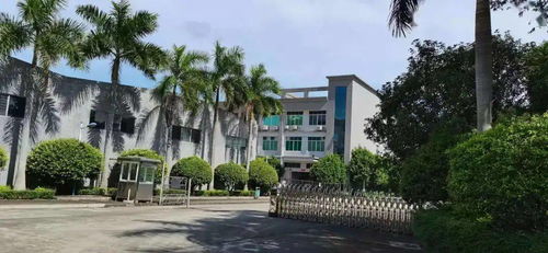 好消息 新兴还在找工作的朋友注意啦 这里有职位等你来 收入不减待遇不低