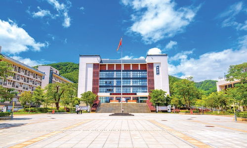 博罗县博师高级中学从 新 出发护航学生全面发展