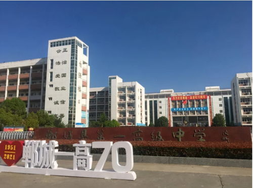 民办中小学大规模停招, 民转公 势在必行,在职教师该何去何从