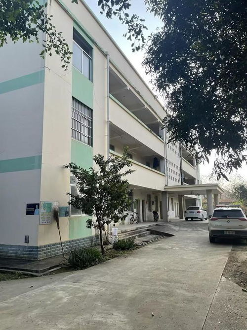 崇左扶绥县一个工厂拍卖,被大企业以起拍价1461万拿下