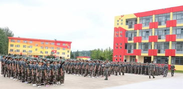 挥洒汗水,筑梦青春——记安徽省中旅携手肥西桃花中学、潮安彩塘中学组织新生军训拓展活动