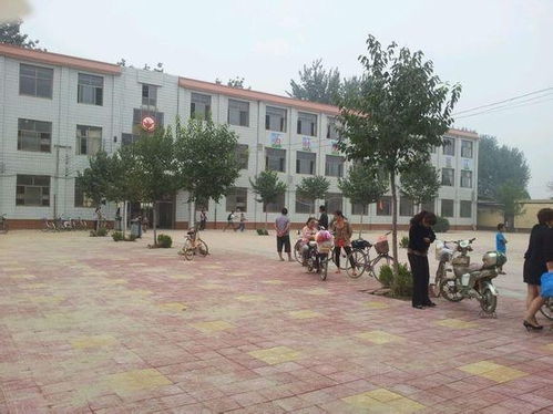 博野县程委中学