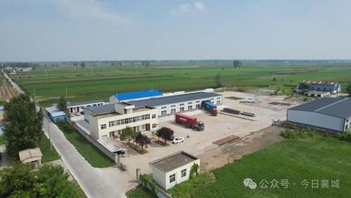 小镇鞋匠闯世界 襄城鞋业“硬核”出海记